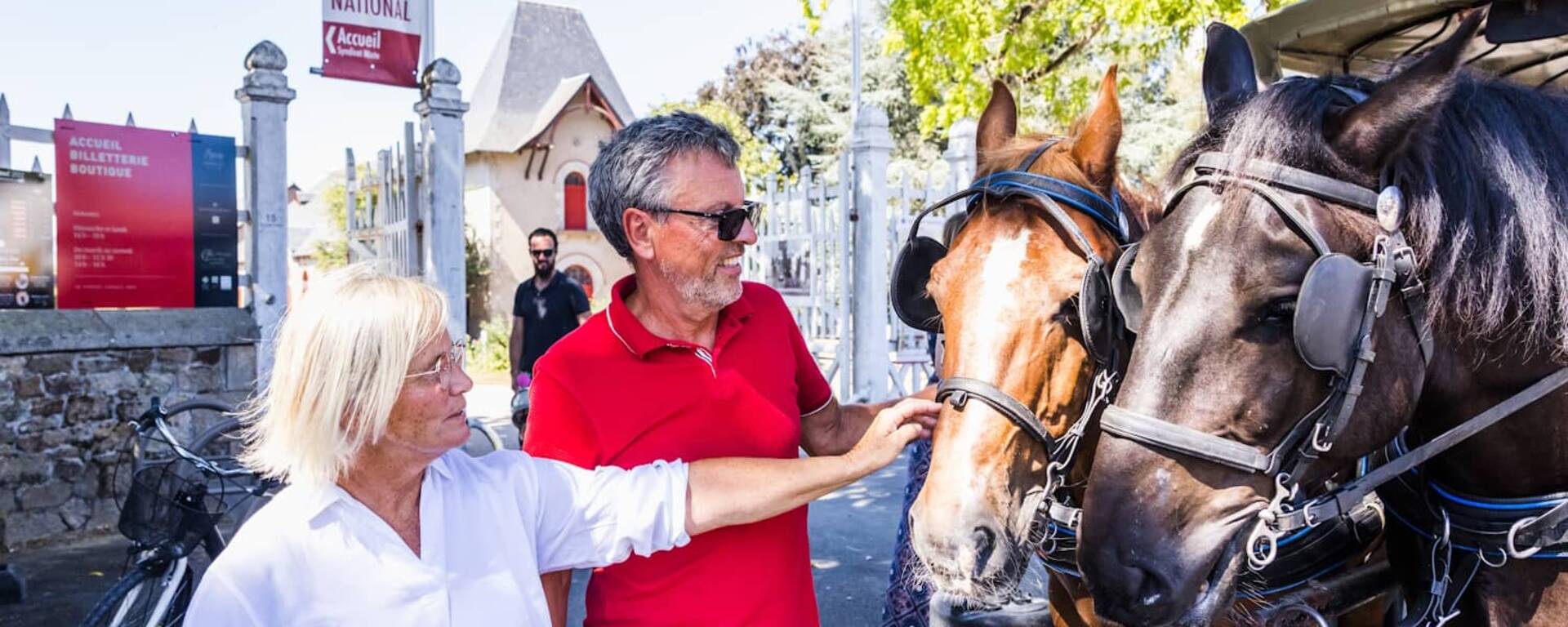 Découverte du haras national de Lamballe en amoureux