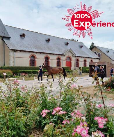 Expérience au Haras National de Lamballe