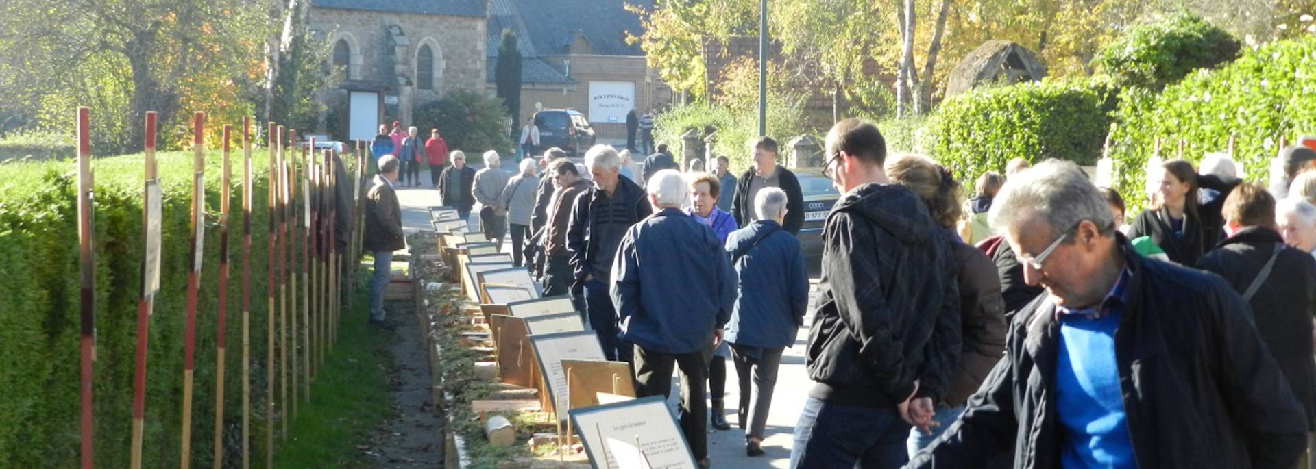 Fête de la Châtaigne - Jugon-les-Lacs 