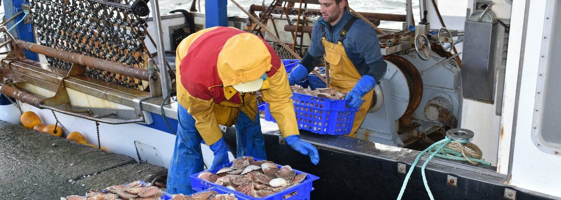 Entreprise Erhel - retour de pêche à la coquille St Jacques