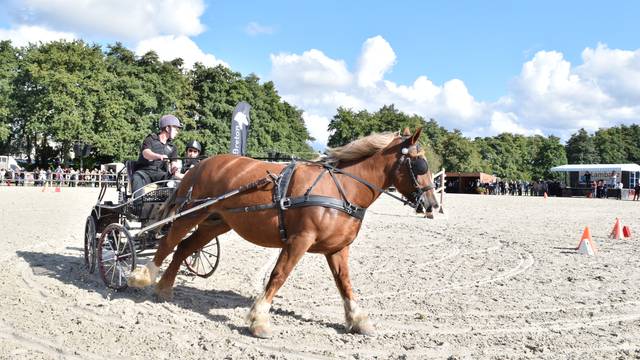 Haras National de Lamballe