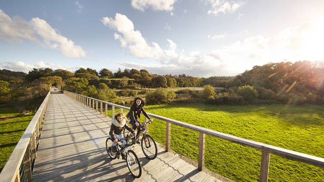 Cycling