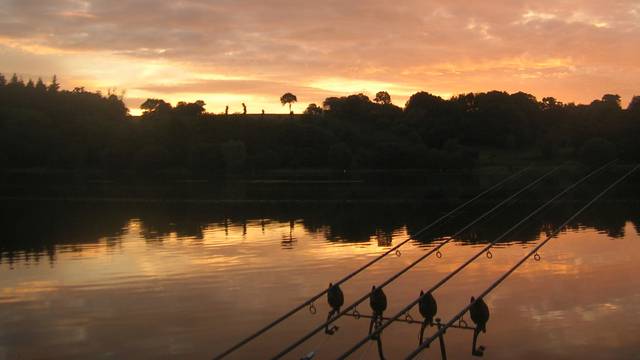 pêche à la carpe à Jugon