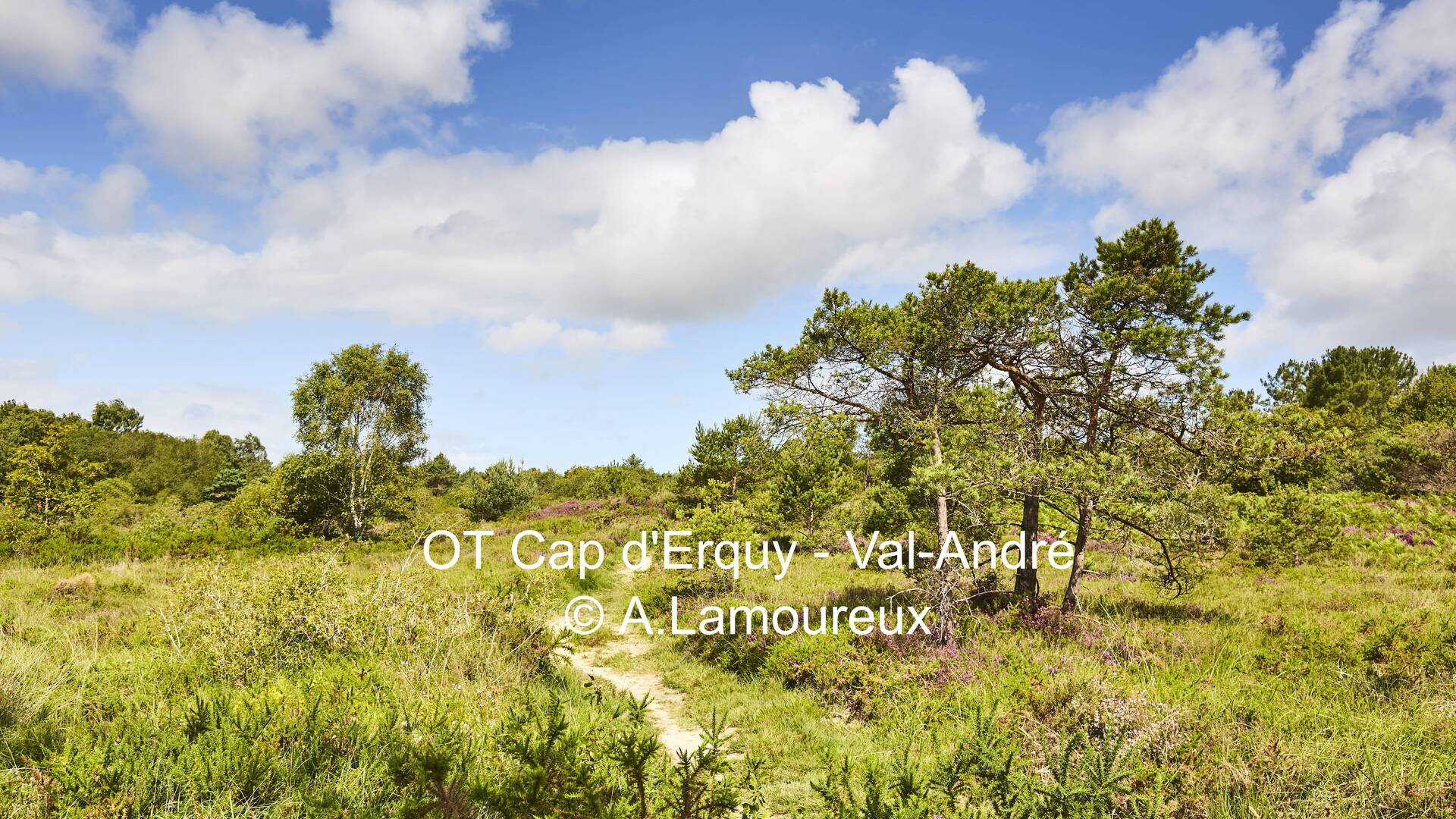 Landes de La Poterie ©A.Lamoureux